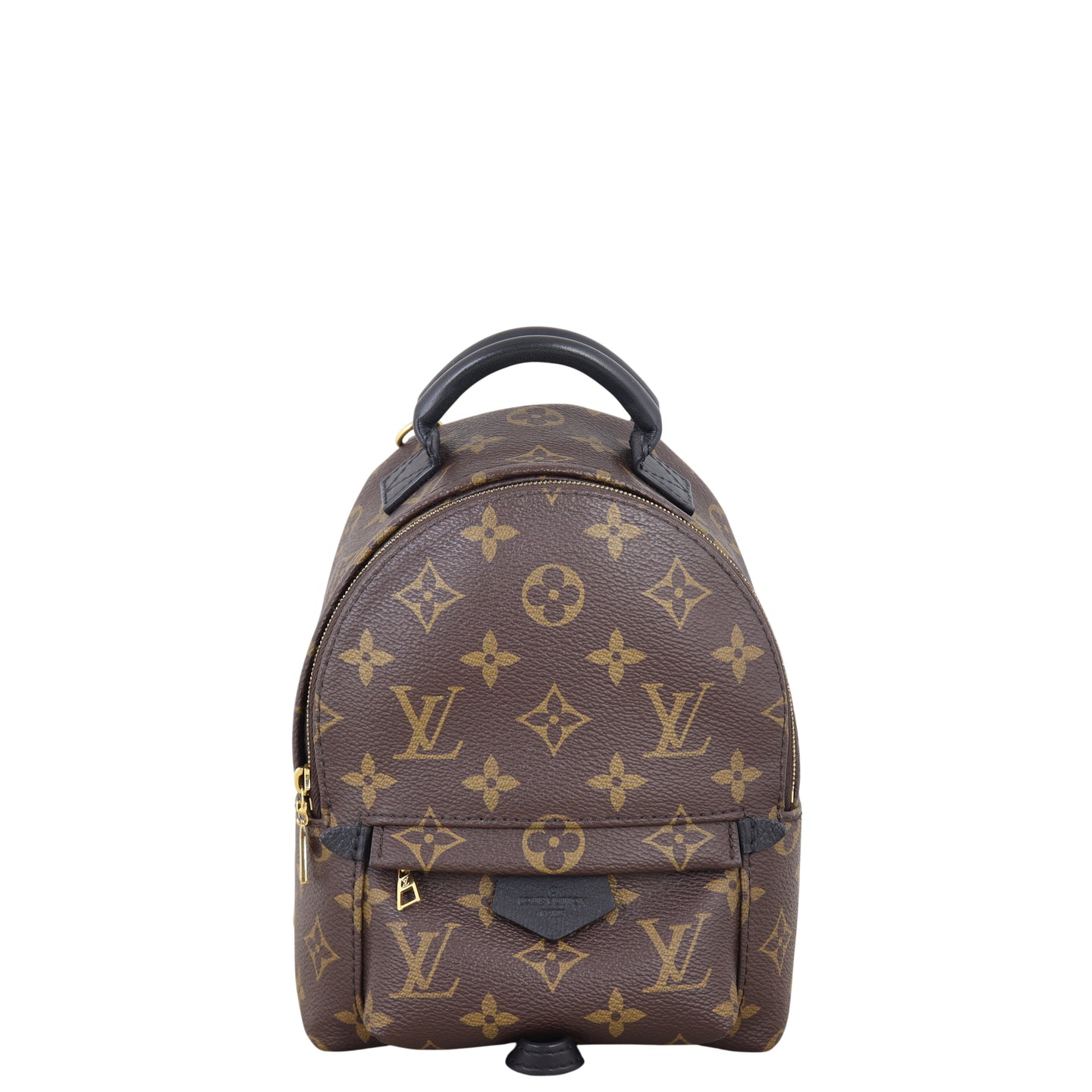 Louis Vuitton Palm Springs Mini Backpack Monogram