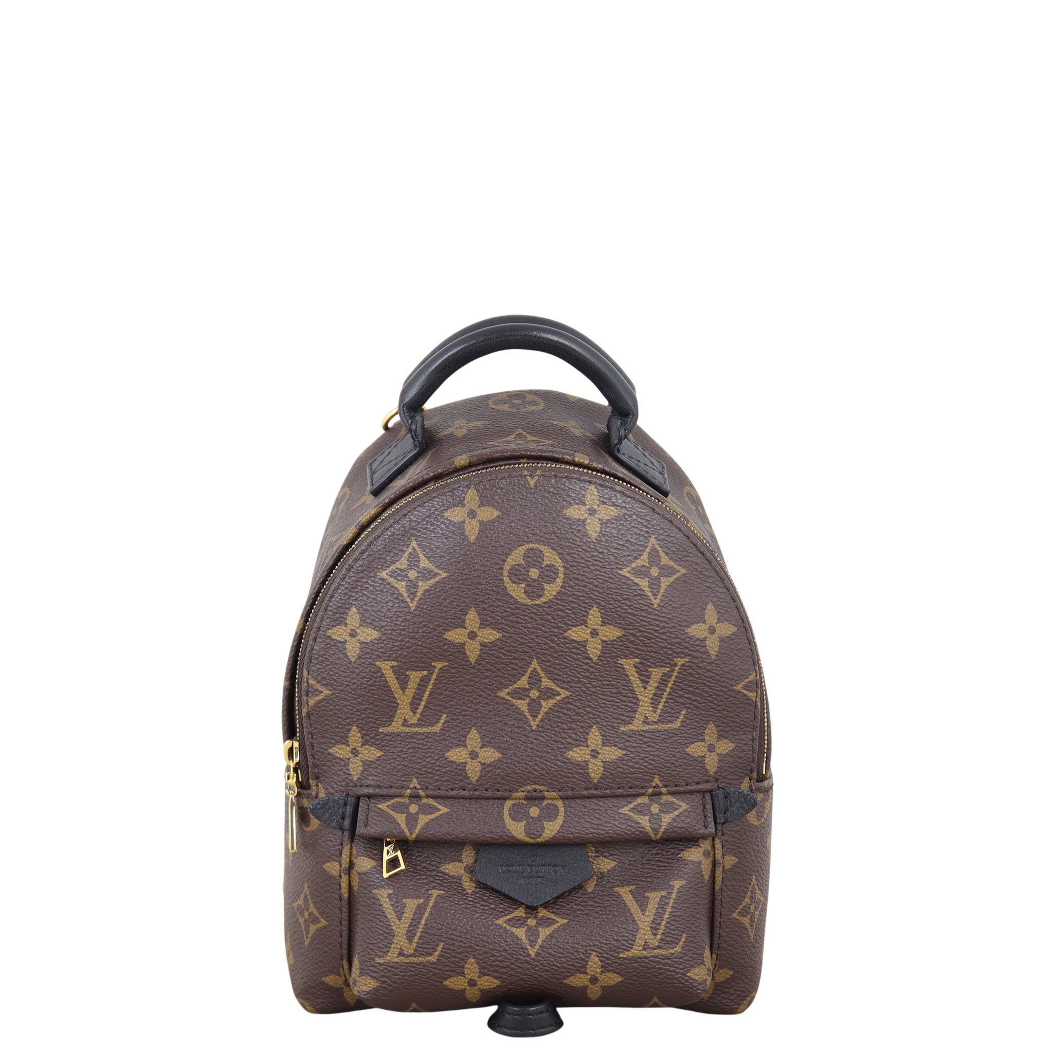 Louis Vuitton Palm Springs Mini Backpack Monogram