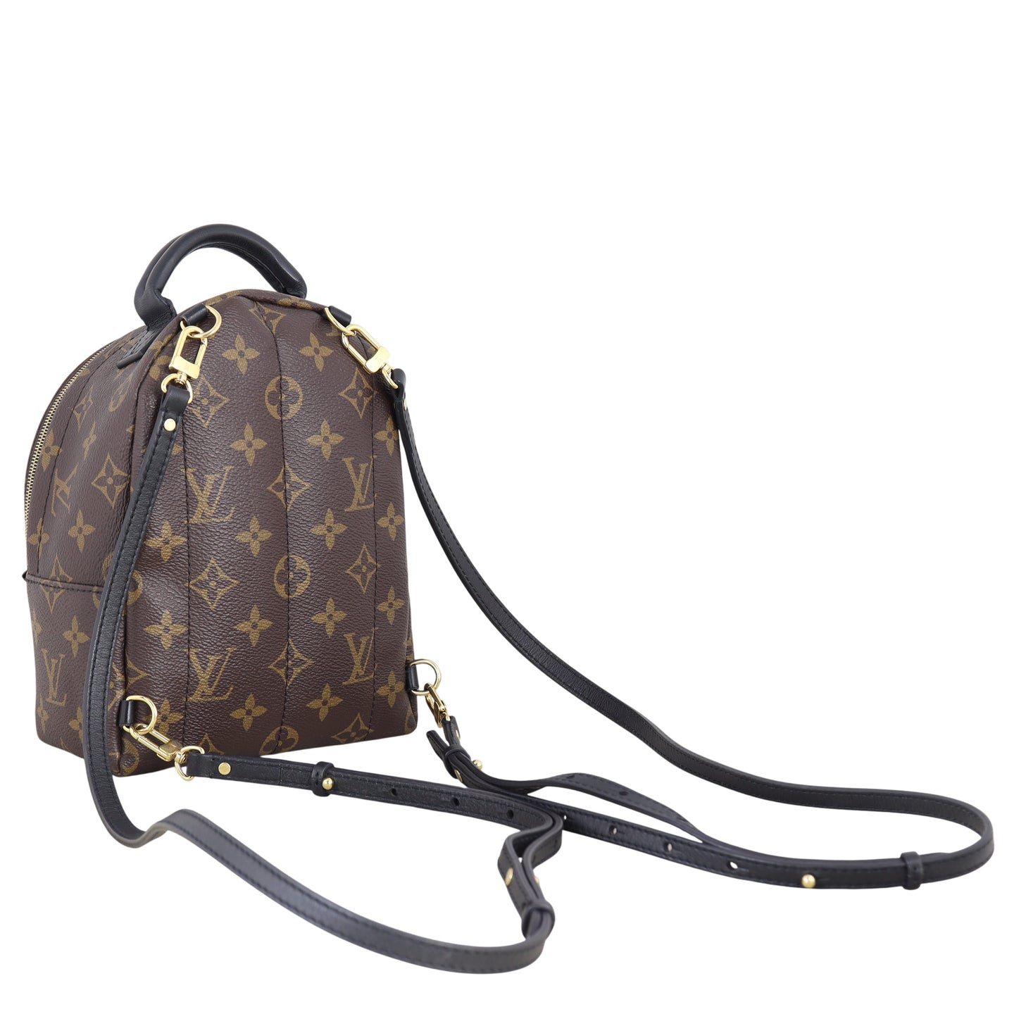 Louis Vuitton Palm Springs Mini Backpack Monogram