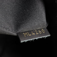 Louis Vuitton Palm Springs Mini Backpack Monogram