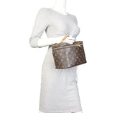 Louis Vuitton Nice BB Monogram