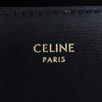 Celine Triomphe Margo Wallet on Chain