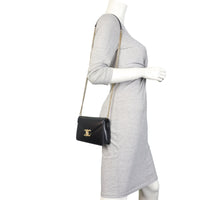 Celine Triomphe Margo Wallet on Chain