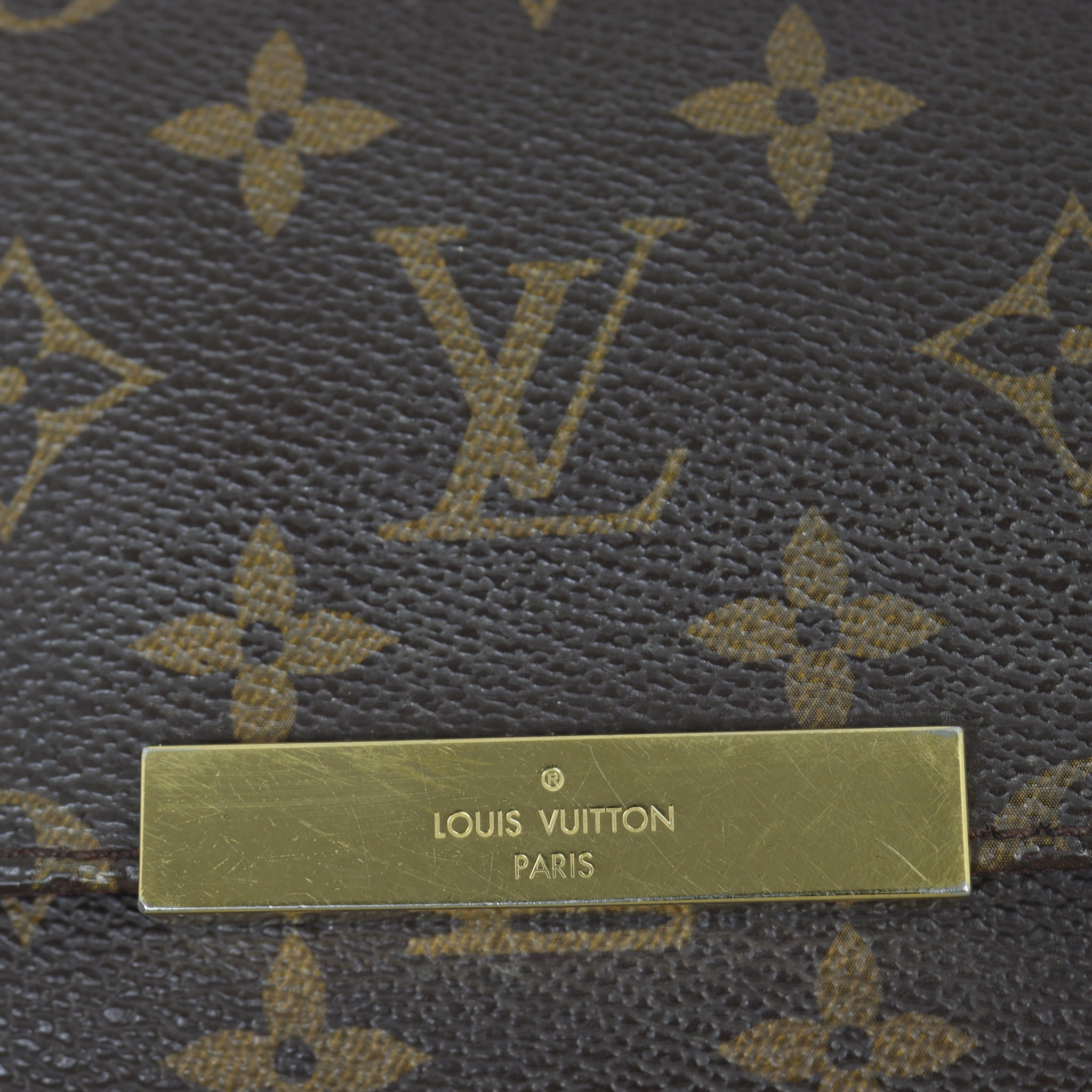Louis Vuitton Favorite MM Monogram