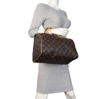Louis Vuitton Speedy 30 Monogram