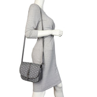 Goyard Belvedere PM Goyardine