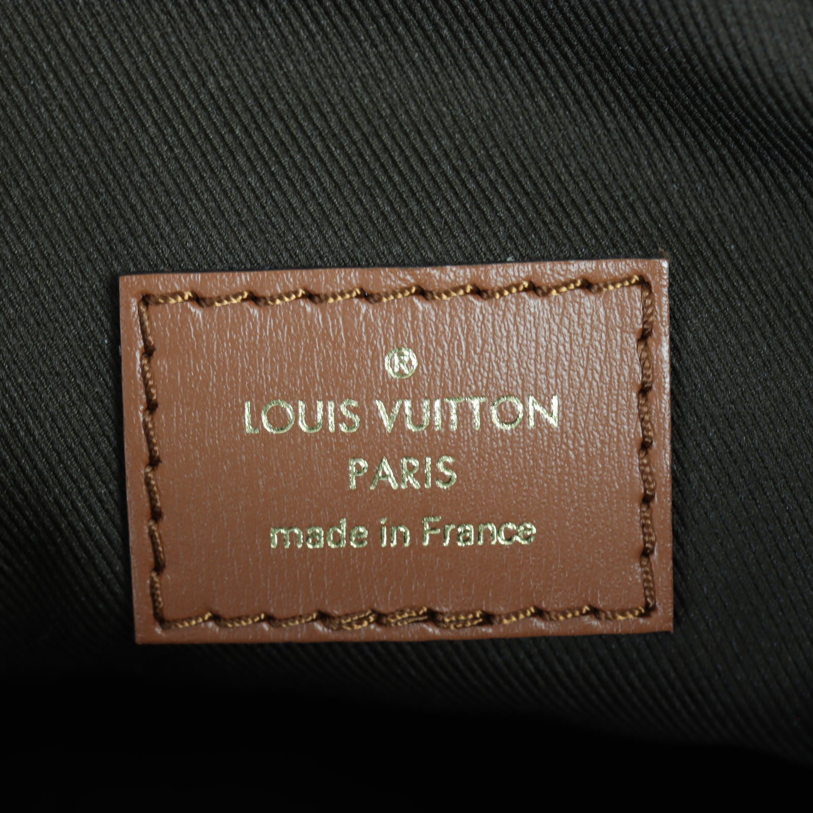 Louis Vuitton Loop Hobo Monogram
