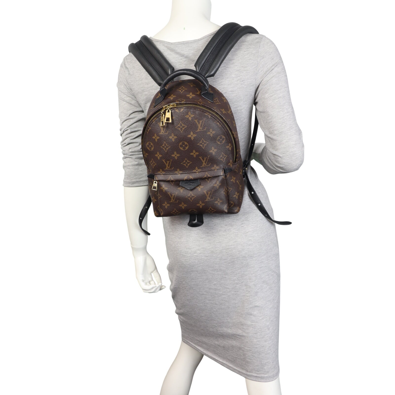 Louis Vuitton Palm Springs Backpack PM Monogram