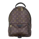 Louis Vuitton Palm Springs Backpack PM Monogram