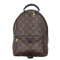 Louis Vuitton Palm Springs Backpack PM Monogram