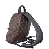 Louis Vuitton Palm Springs Backpack PM Monogram