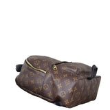 Louis Vuitton Palm Springs Backpack PM Monogram