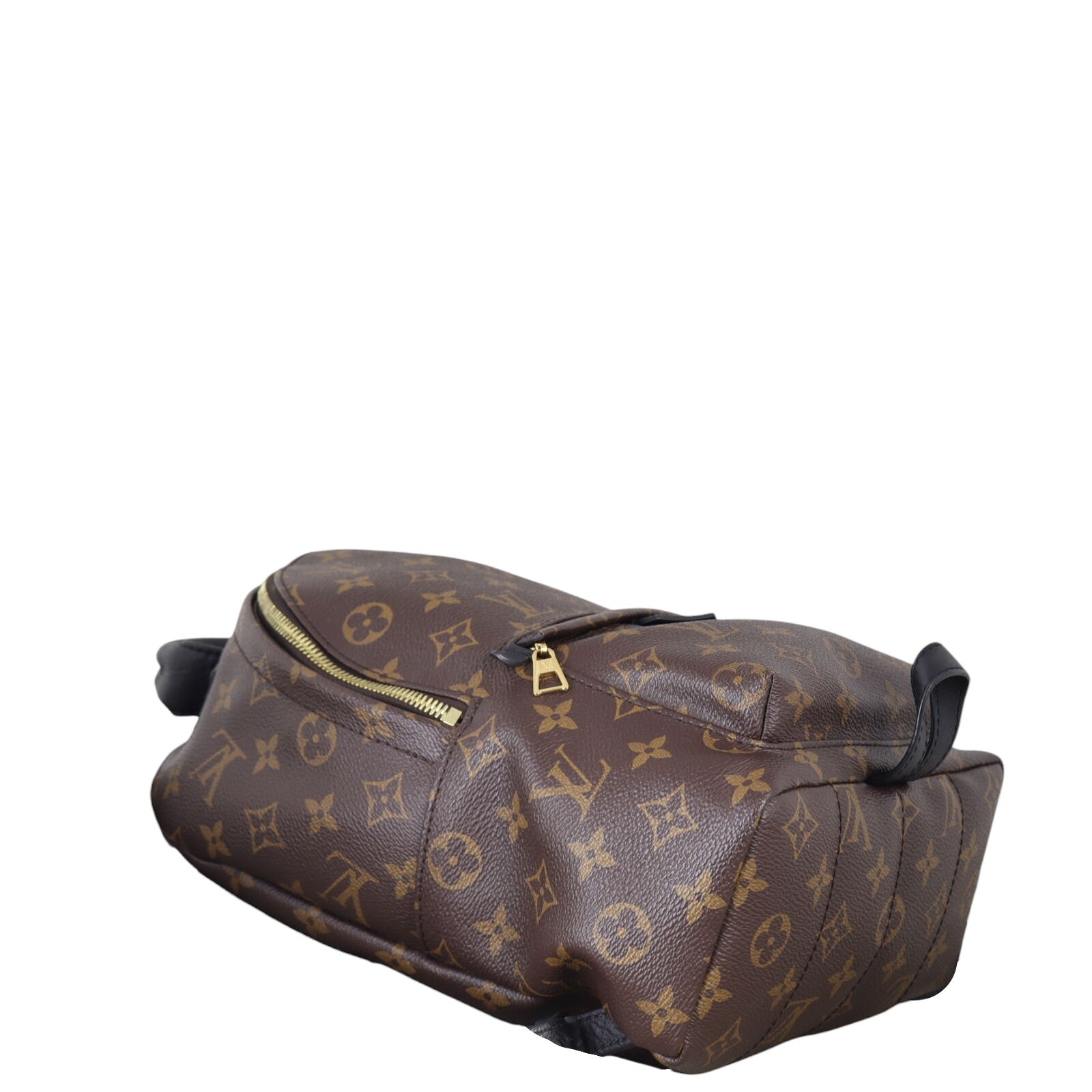 Louis Vuitton Palm Springs Backpack PM Monogram