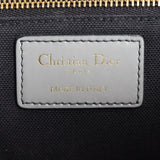 Dior 30 Montaigne Bag Oblique
