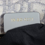 Dior 30 Montaigne Bag Oblique