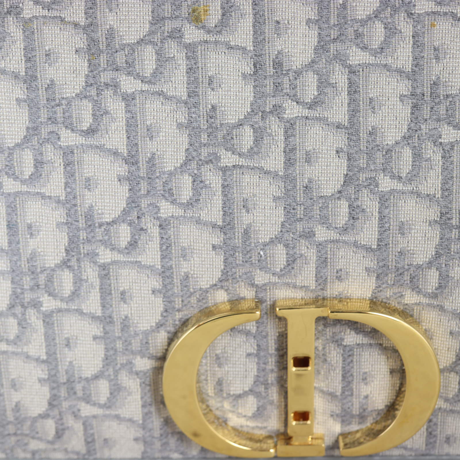 Dior 30 Montaigne Bag Oblique