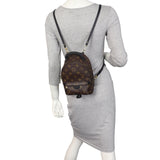 Louis Vuitton Palm Springs Mini Backpack Monogram