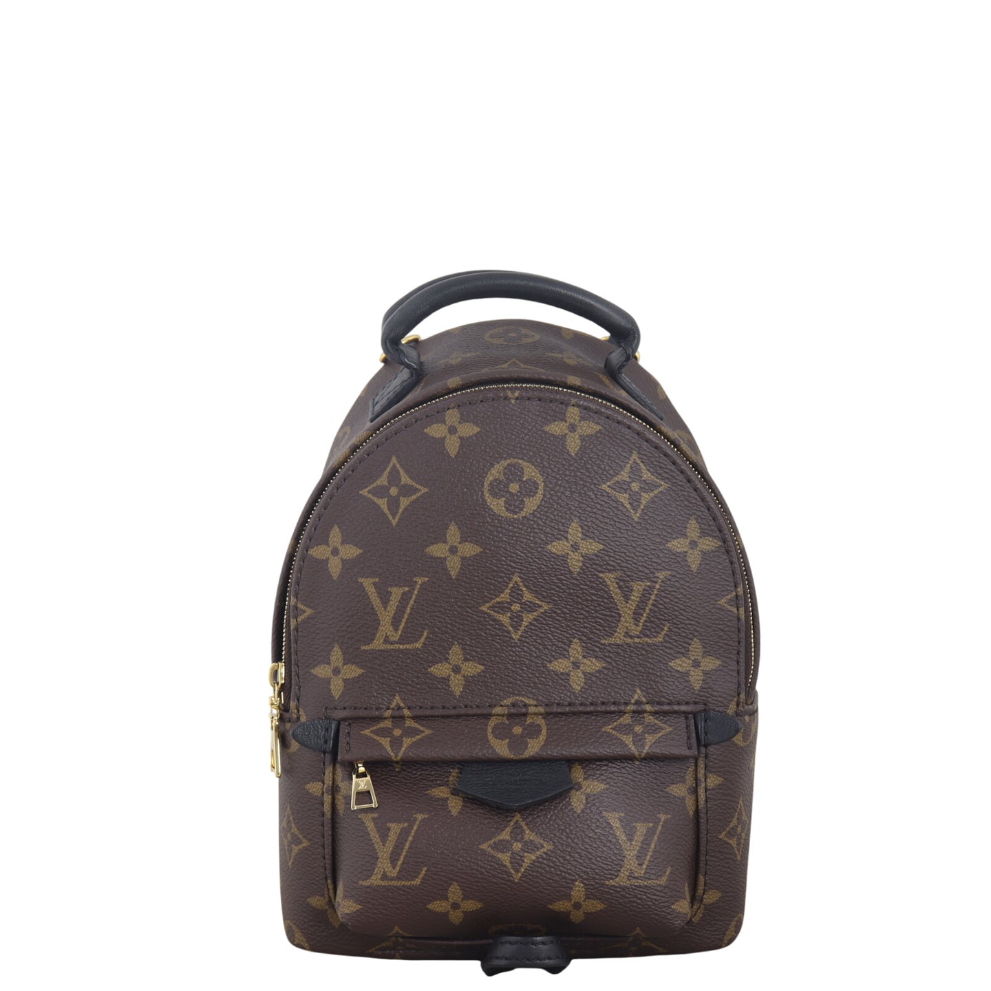 Louis Vuitton Palm Springs Mini Backpack Monogram