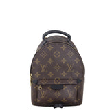 Louis Vuitton Palm Springs Mini Backpack Monogram