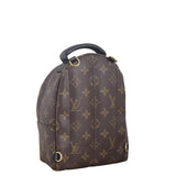 Louis Vuitton Palm Springs Mini Backpack Monogram