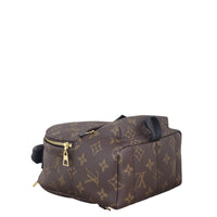 Louis Vuitton Palm Springs Mini Backpack Monogram