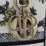 Dior Lady D-Lite Medium