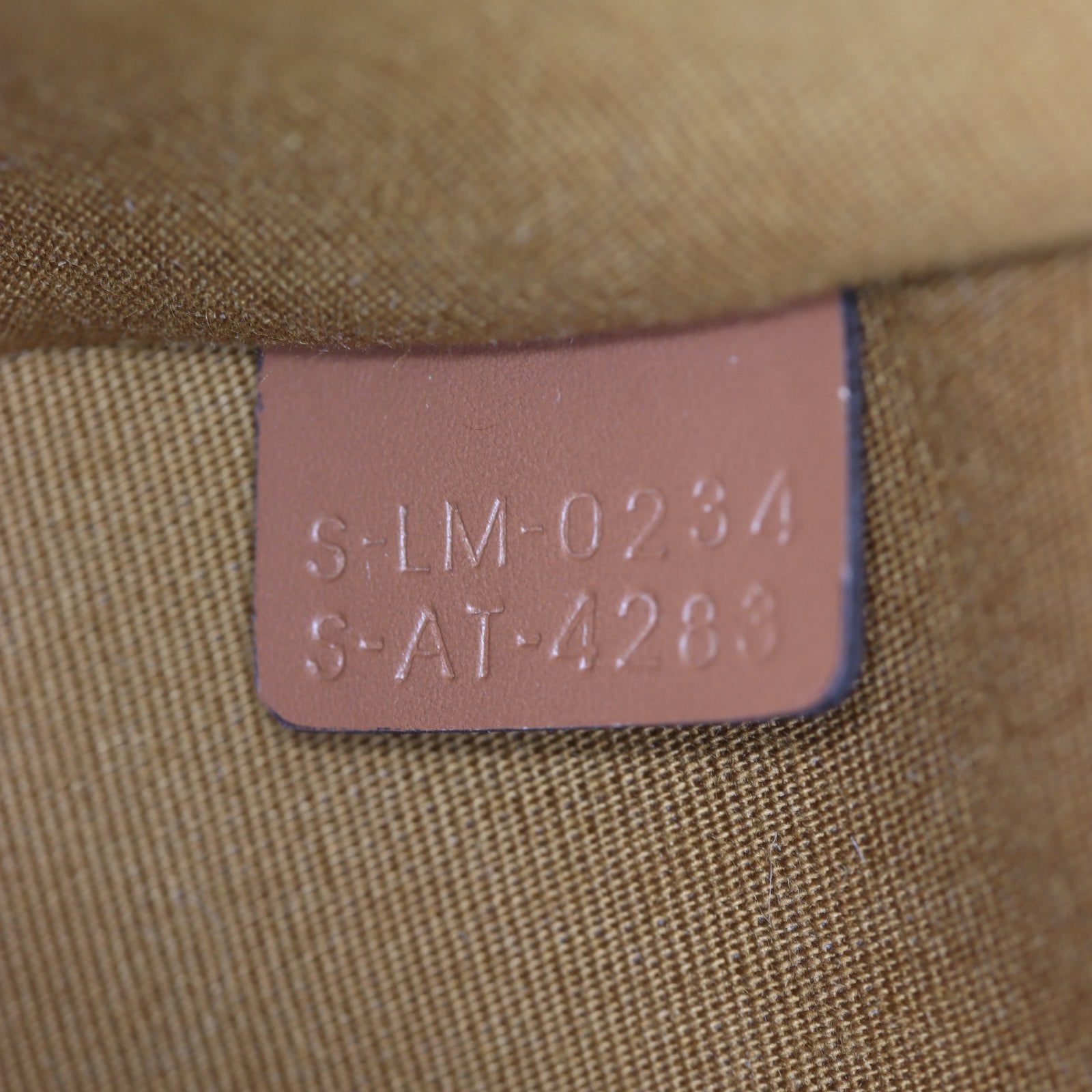 Celine Ava Triomphe Hobo Medium