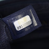 Chanel Elegant Plexi Double Chain Flap Bag