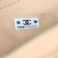 Chanel 19 Zip Hobo