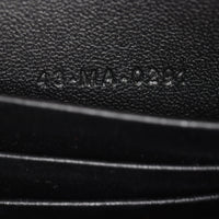 Dior Caro Zip Pouch on Chain