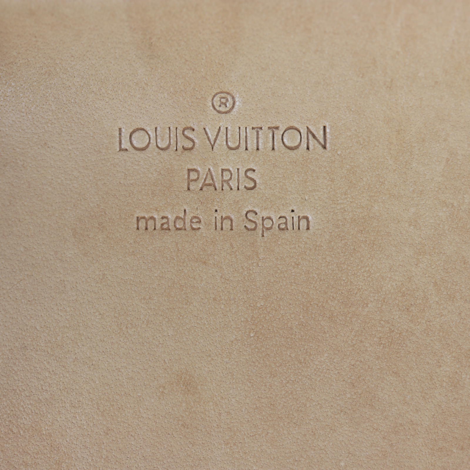 Louis Vuitton Cruise Tote GM Monogram Vinyl