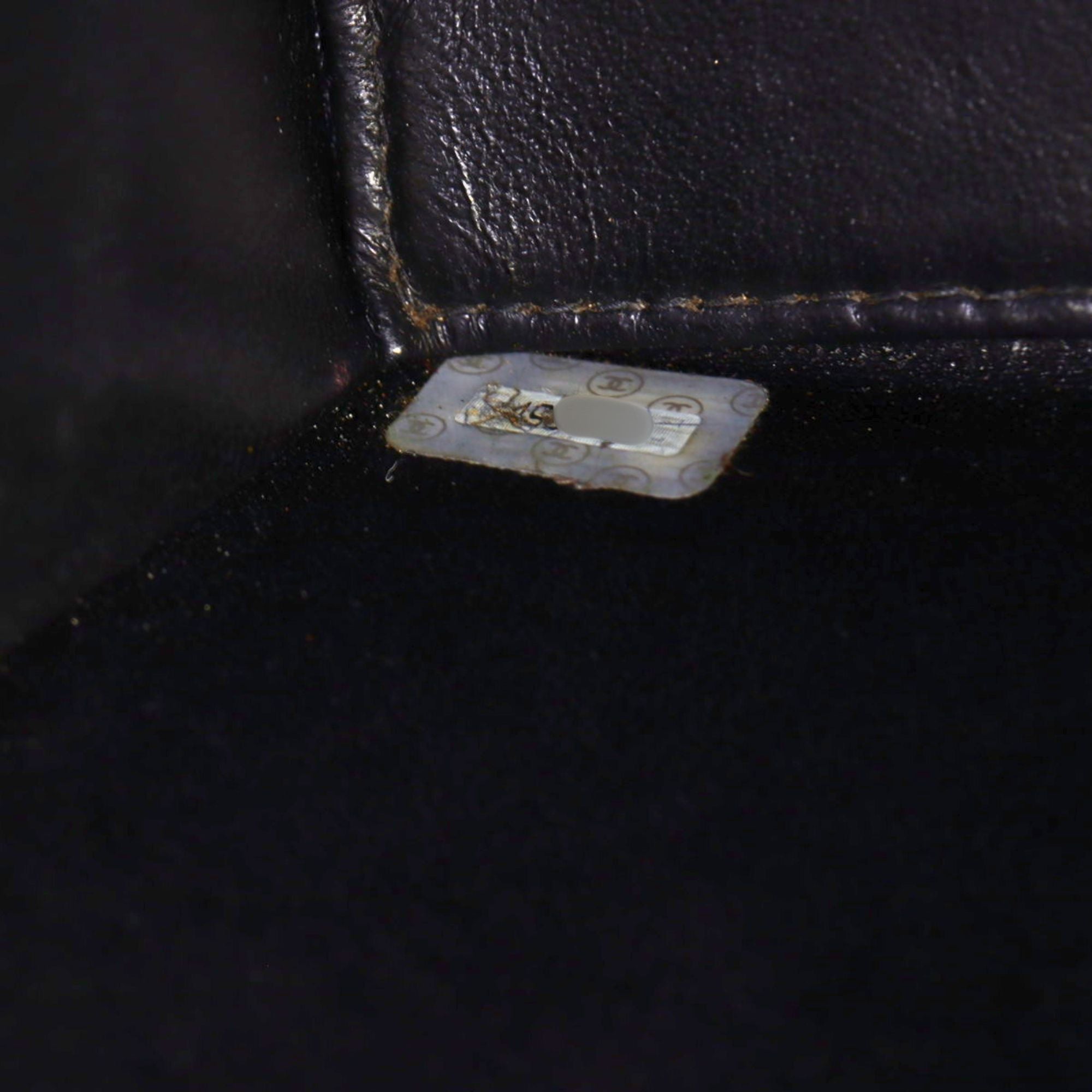 Chanel CC Snake Chain Flap Bag