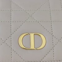Dior Caro Backpack Medium