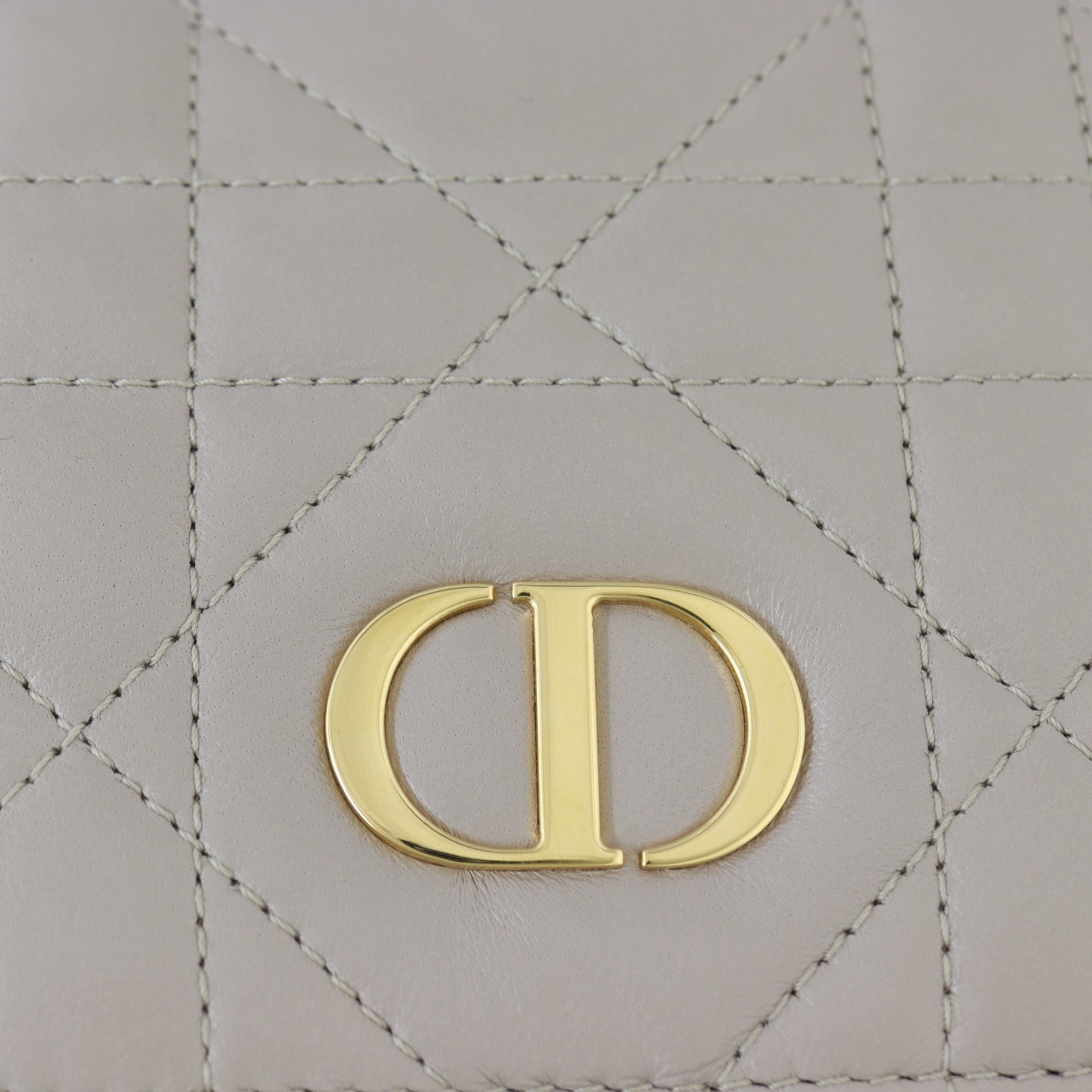 Dior Caro Backpack Medium