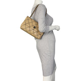 Chanel Wild Stitch Flap Bag
