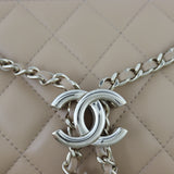 Chanel Double Pouch with Strap Tweed and Leather