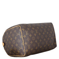Louis Vuitton Speedy 30 Monogram
