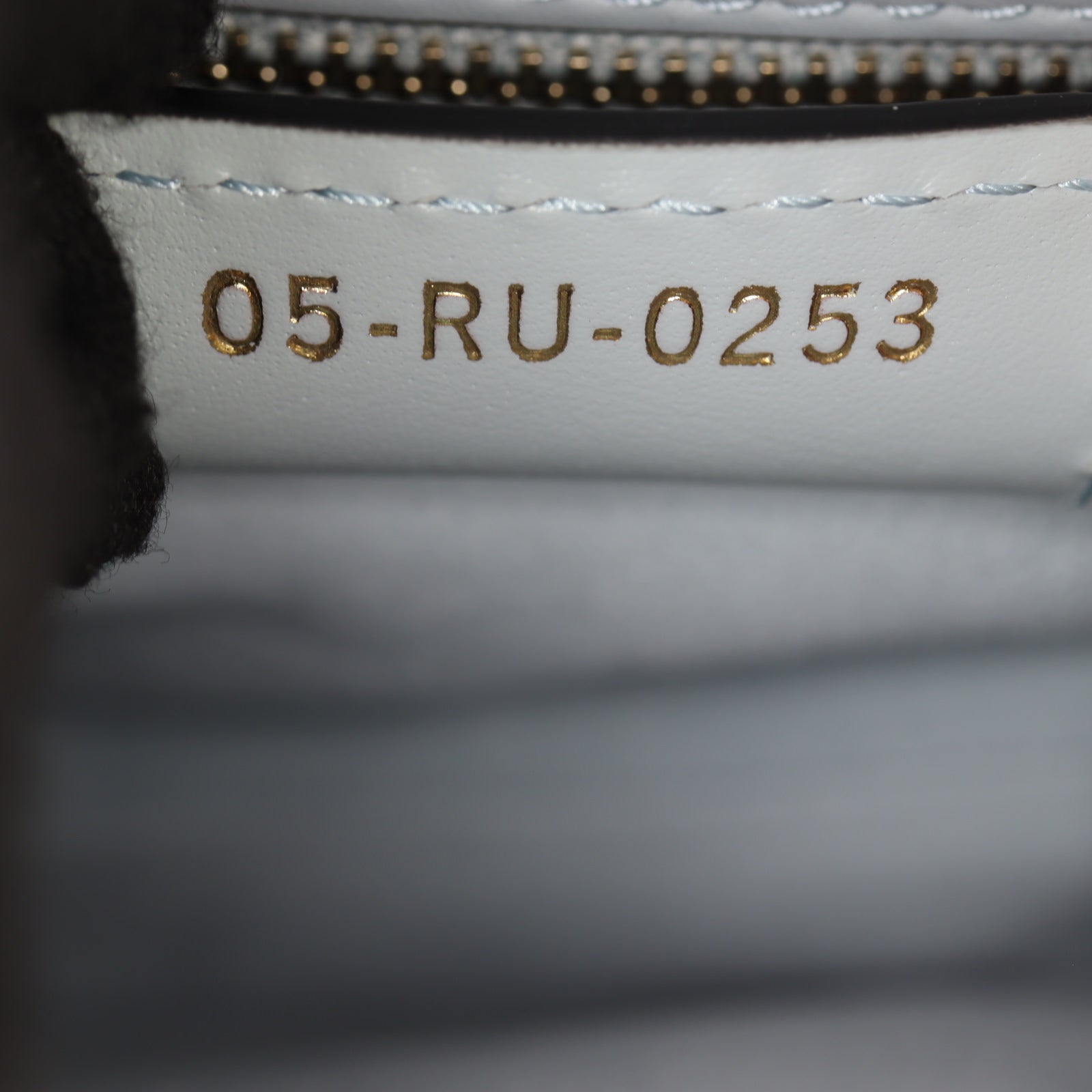Dior Saddle Bag with Strap