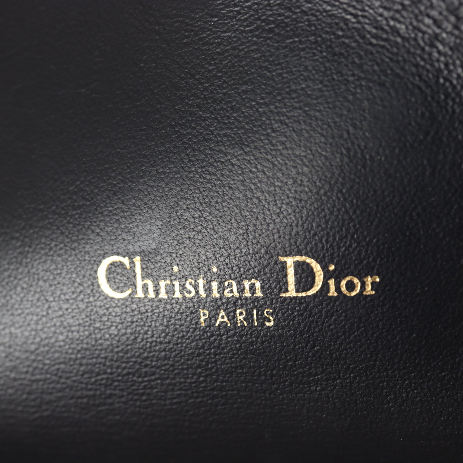 Dior Saddle Wallet on Chain Oblique