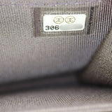 Chanel Wallet on Chain Mini Iridescent
