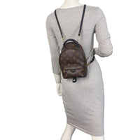 Louis Vuitton Palm Springs Mini Backpack Monogram