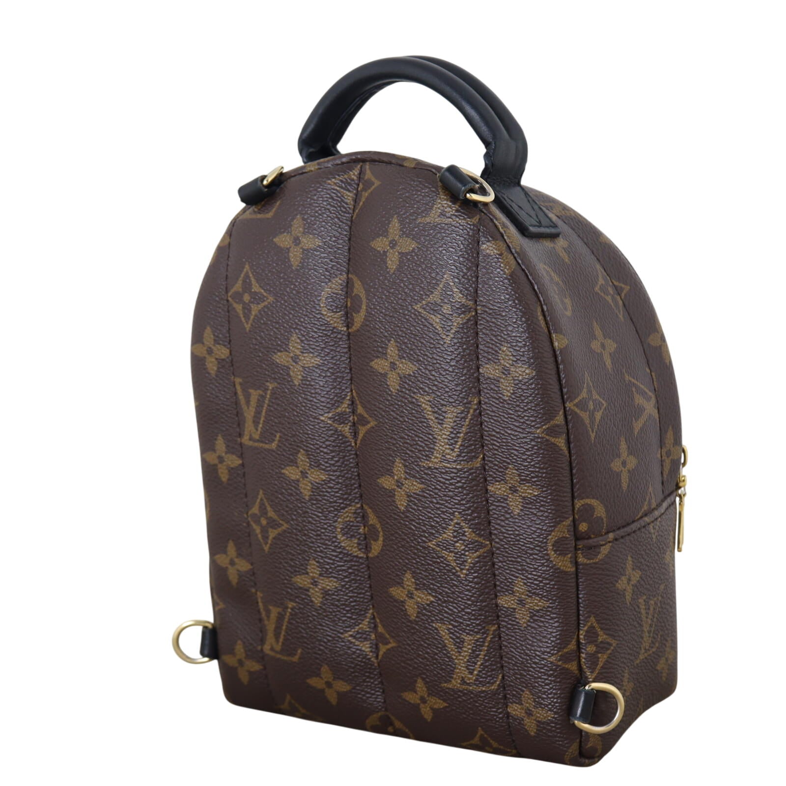 Louis Vuitton Palm Springs Mini Backpack Monogram