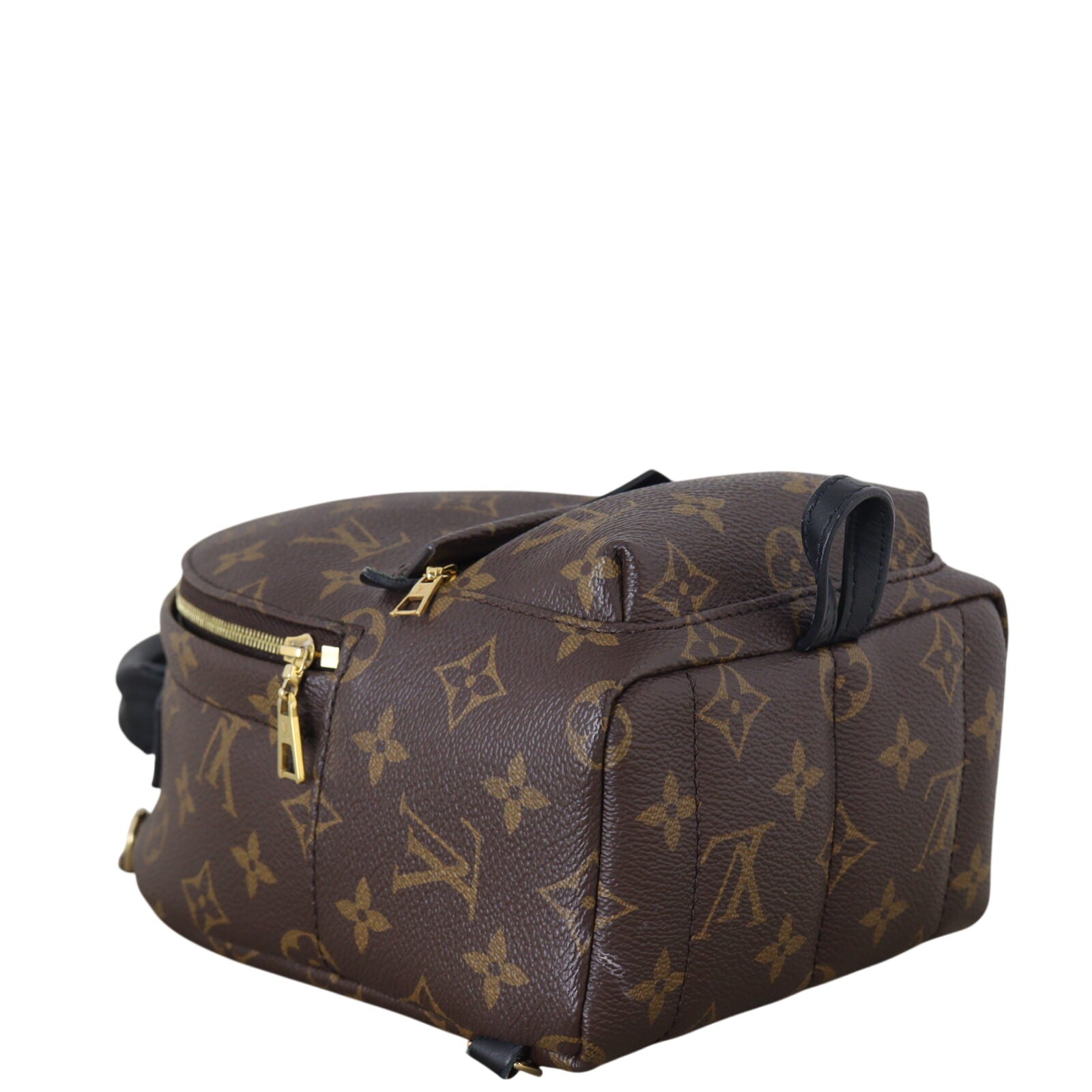 Louis Vuitton Palm Springs Mini Backpack Monogram