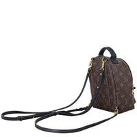 Louis Vuitton Palm Springs Mini Backpack Monogram