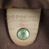 Louis Vuitton Speedy 25 Monogram