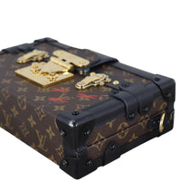 Louis Vuitton Petite Malle Monogram
