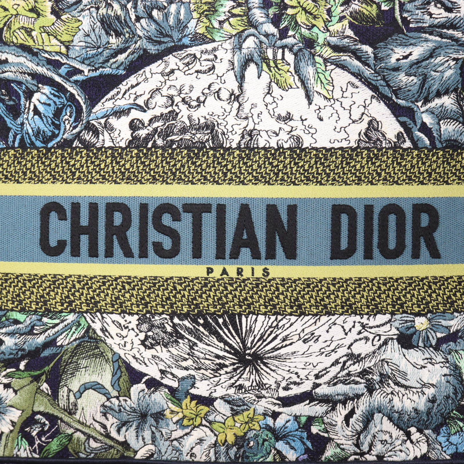 Dior Book Tote Medium