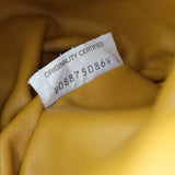 Bottega Veneta The Chain Pouch