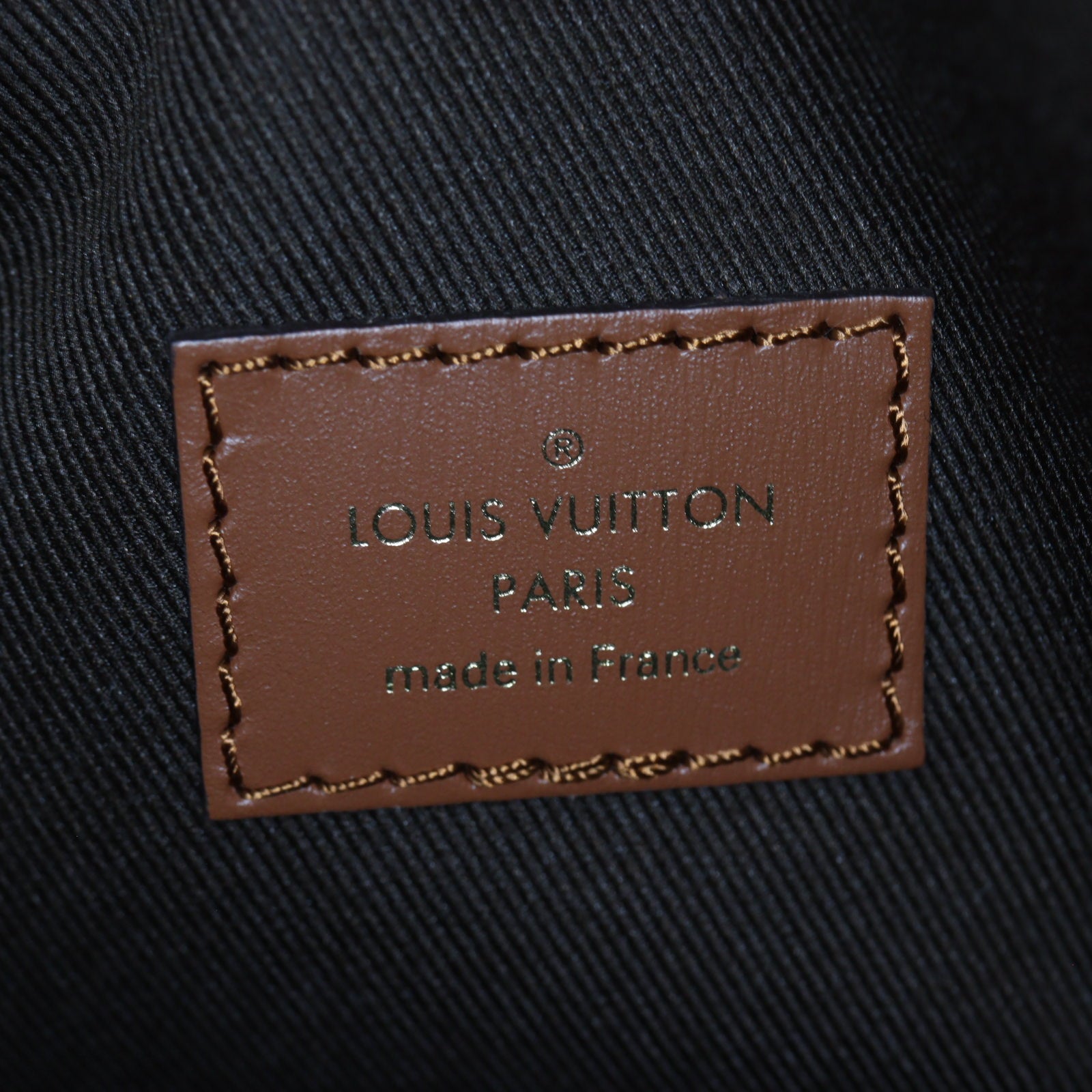Louis Vuitton Loop Hobo Monogram
