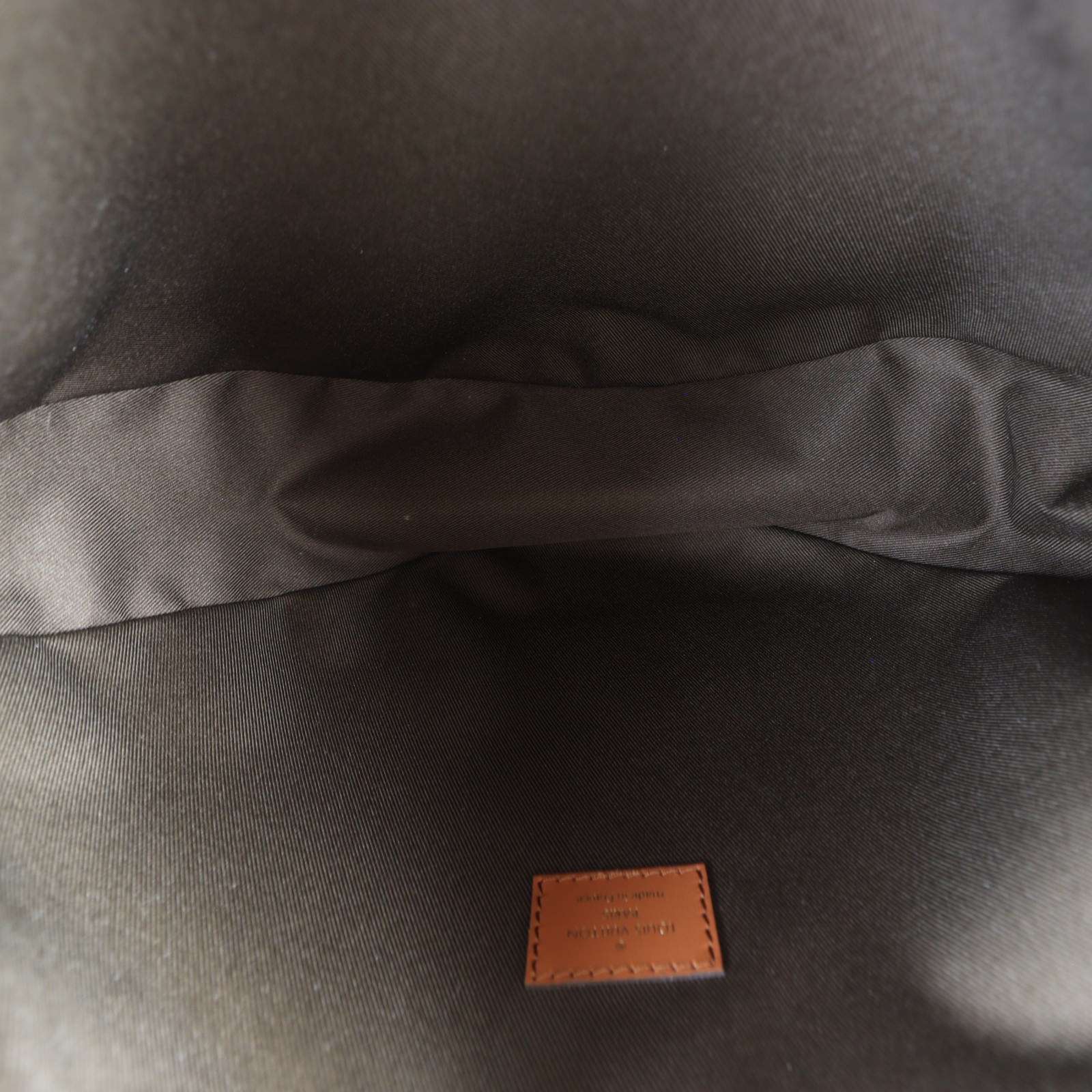 Louis Vuitton Loop Hobo Monogram